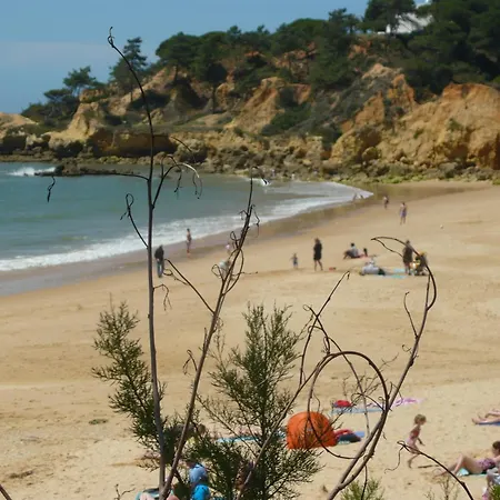 Отель Agua Marinha Rosa-